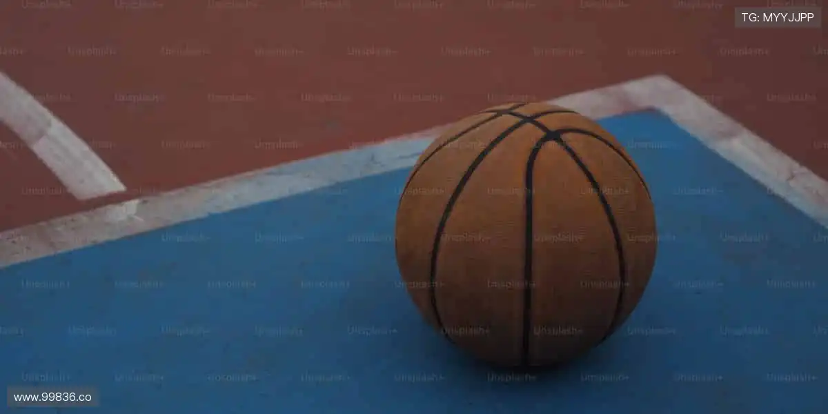 🎉 冠军之路，与你同在，